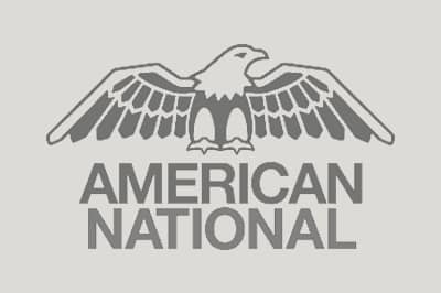 Logo American National
